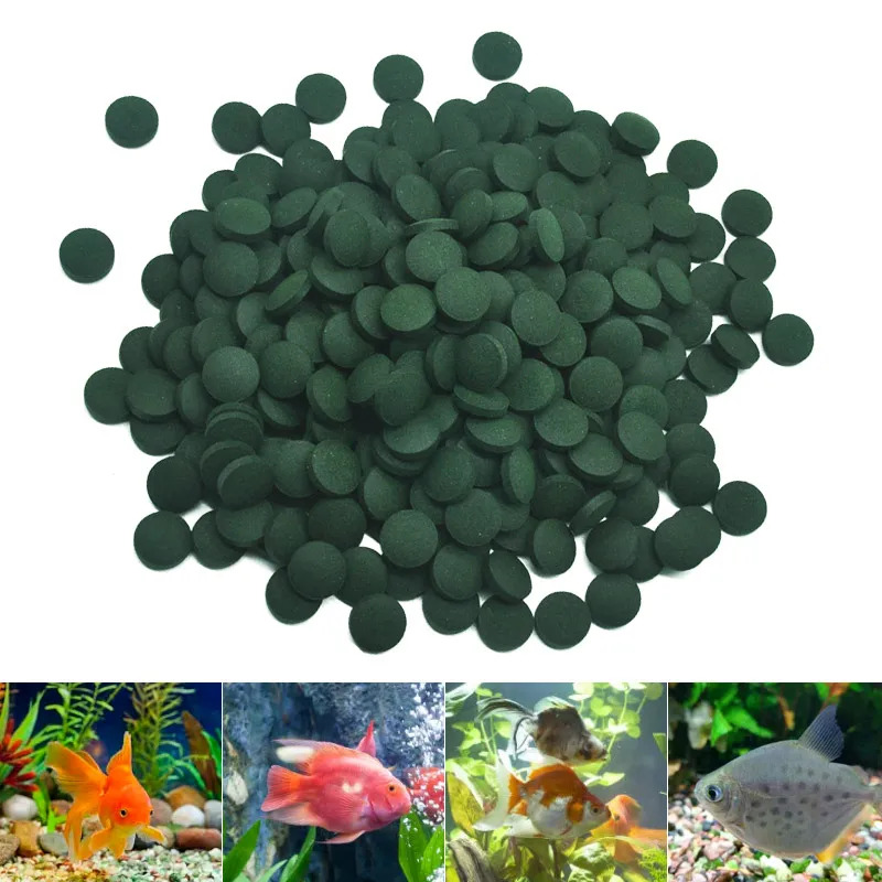 100-3000pc High Purity Spiruli - Aquarium Fish Vitamin ulasan dan harga