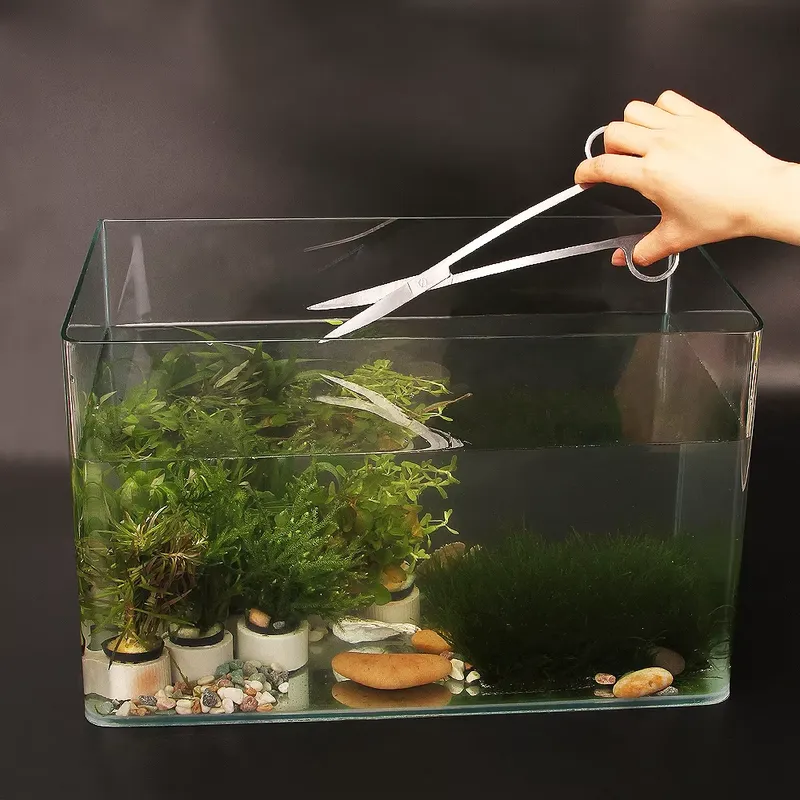 Popular Aquarium Tool Kit Aqua - Aquarium Fish Popular ulasan dan harga