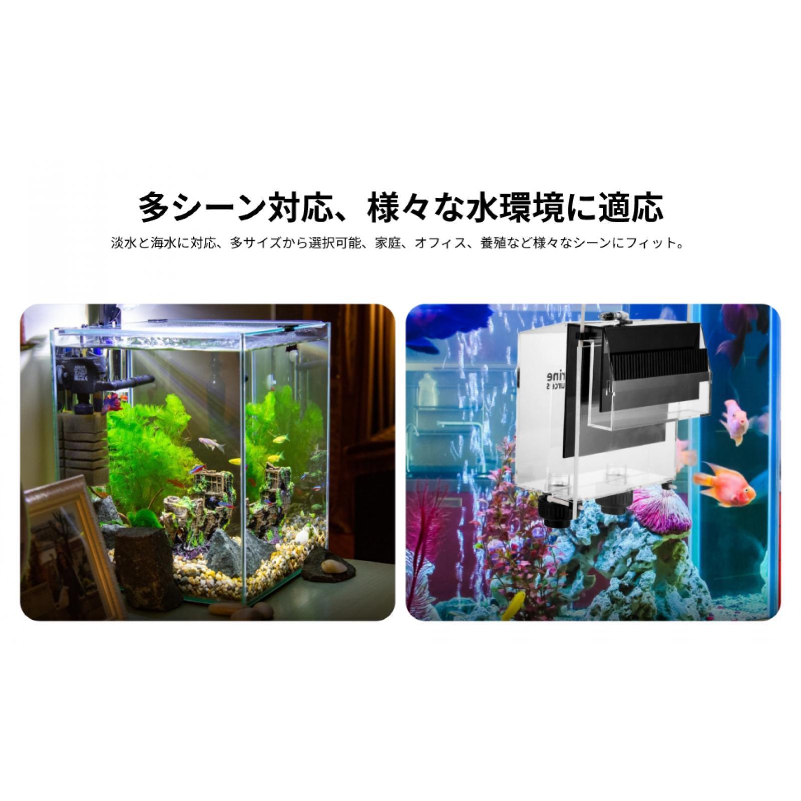 Acrylic Overflow Box Aquarium  - Fish Aquarium Guide ulasan dan harga