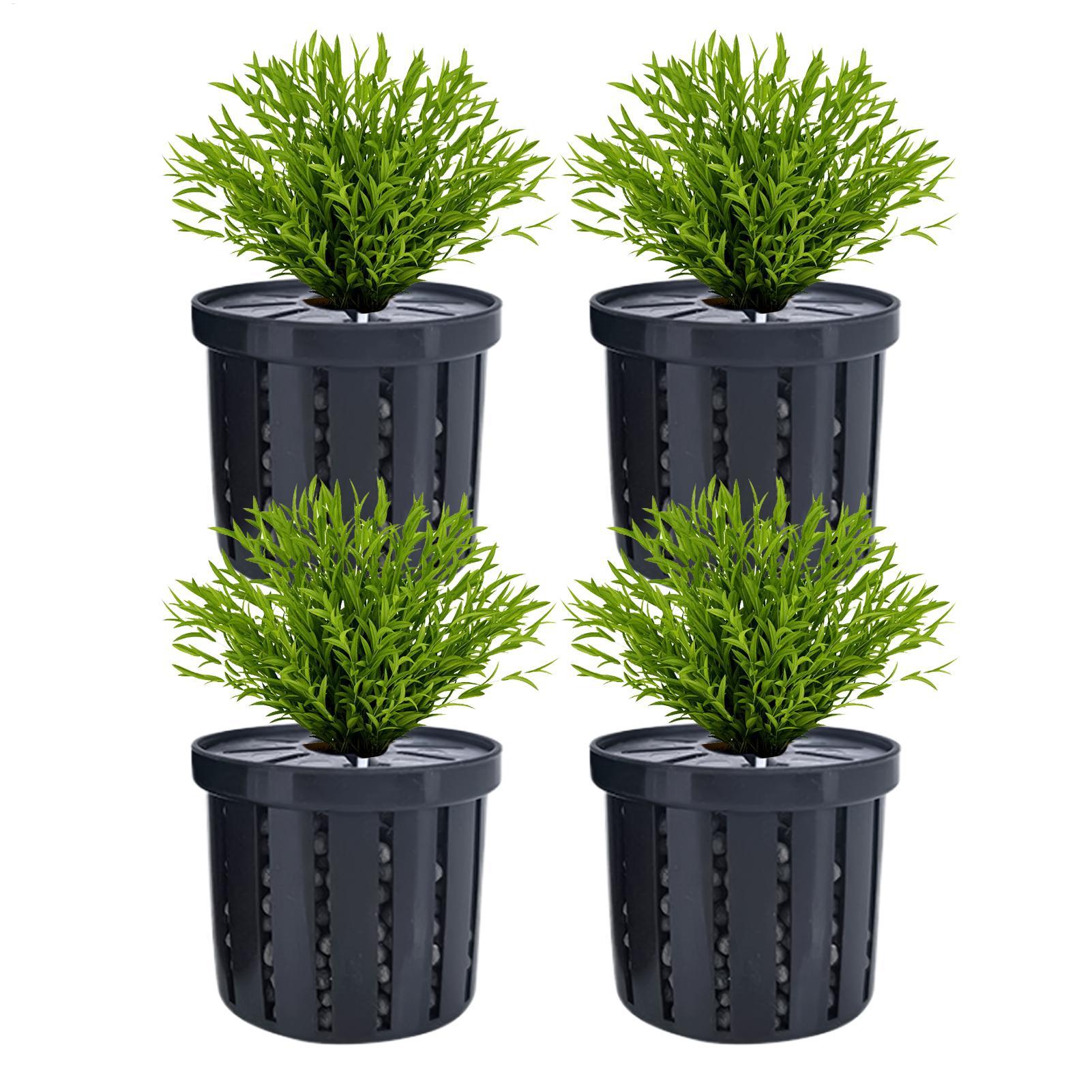 4pcs Aquarium Plant Holder Bas - Aquarium Fish Restaurant ulasan dan harga