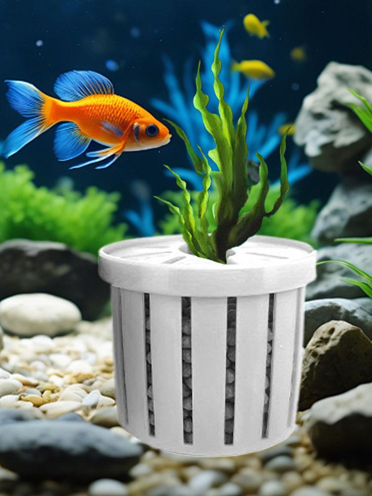 4pcs Aquarium Plant Holder Bas - Aquarium Fish Restaurant ulasan dan harga