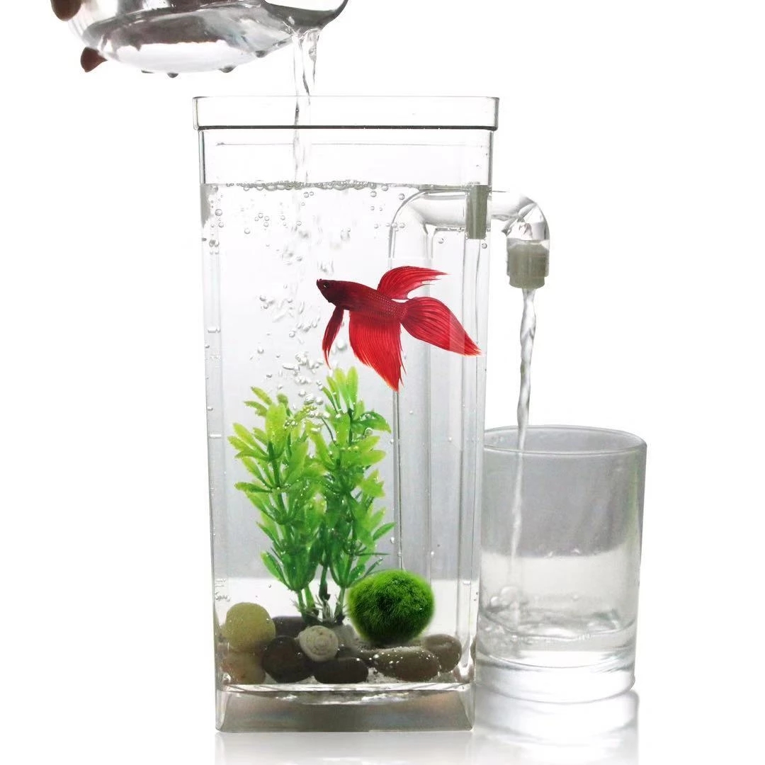 Lazy Free Water Change Desktop - Fish Toy In Aquarium ulasan dan harga