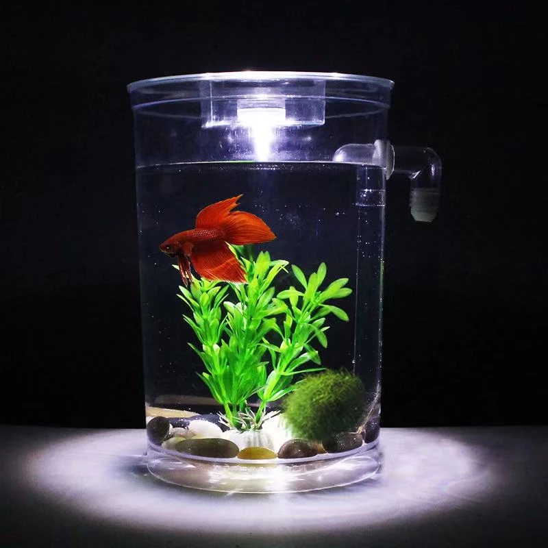 Lazy Free Water Change Desktop - Fish Toy In Aquarium ulasan dan harga