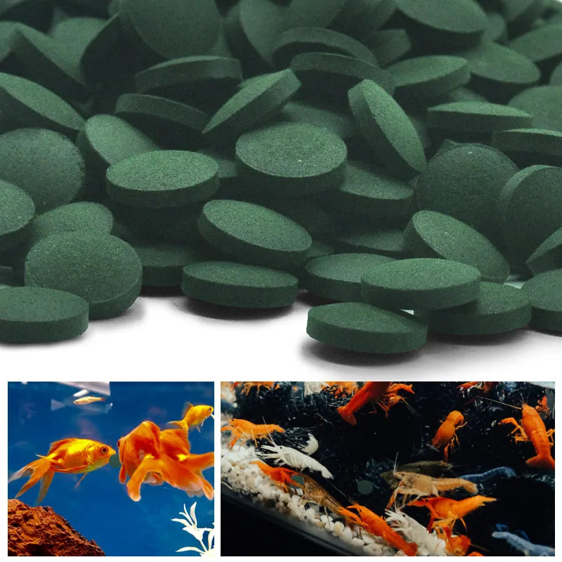50/100/200/300pcs Aquarium Hot - Aquarium Fish Vitamin ulasan dan harga