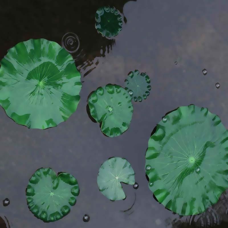 2026 Artificial Water Lily Lot - Aquarium Fish Artificial ulasan dan harga