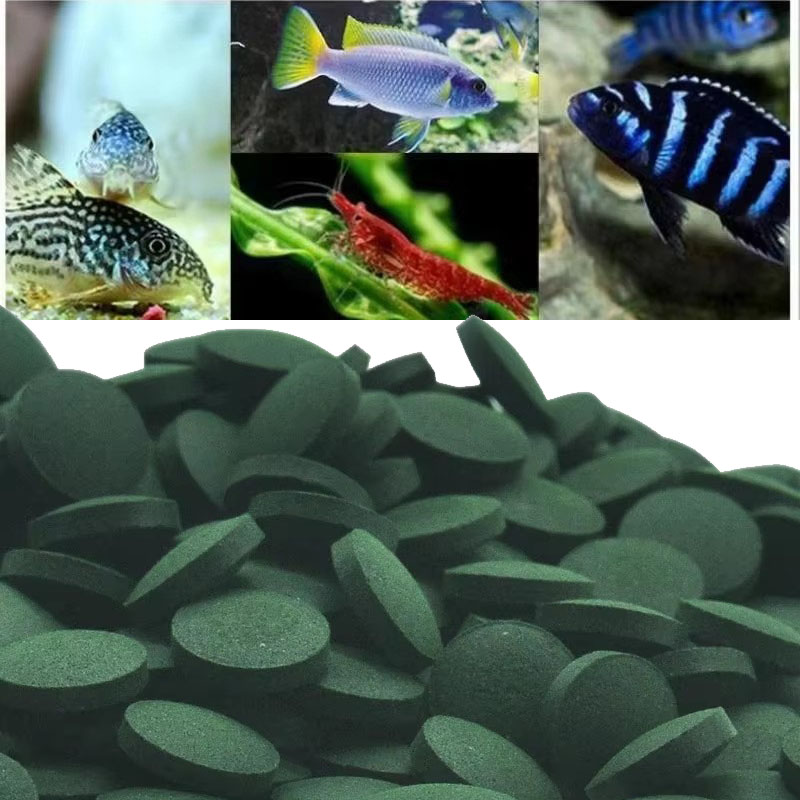 50/100/300/500pcs Spirulina Ta - Aquarium Fish Vitamin ulasan dan harga