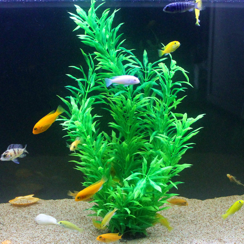 50CM Artificial Fish Tank Rare - Aquarium Fish Artificial ulasan dan harga