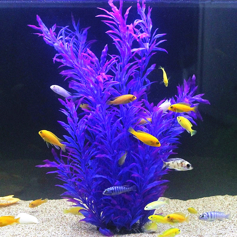 50CM Artificial Fish Tank Rare - Aquarium Fish Artificial ulasan dan harga