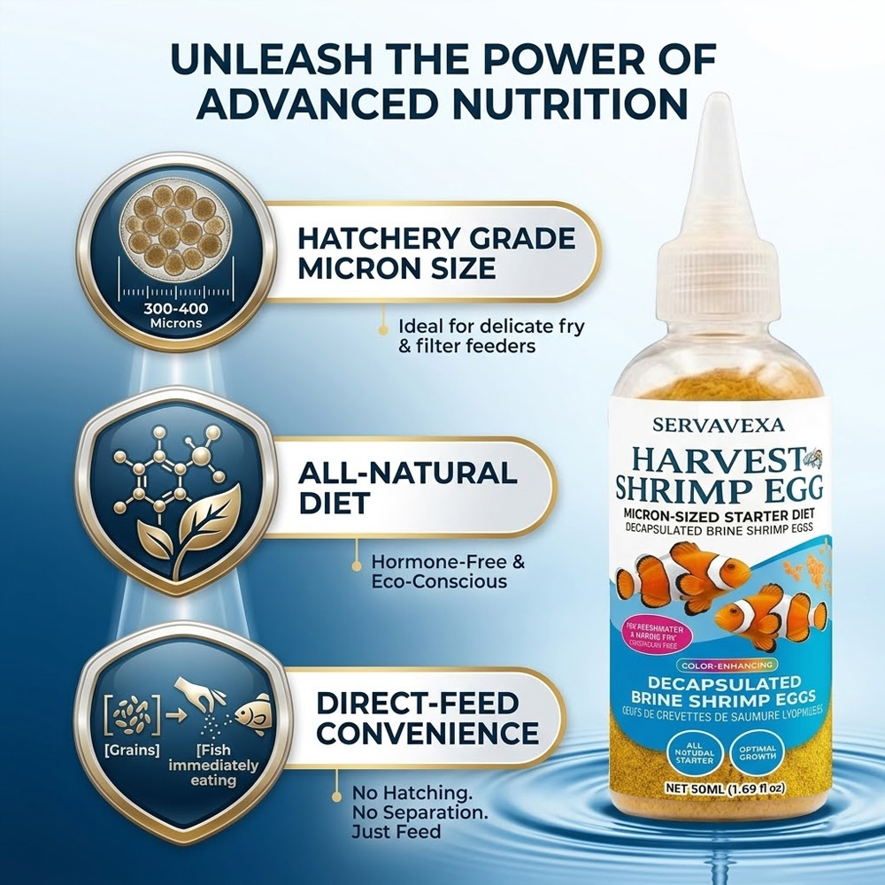 High Protein Fish Food for Bet - Aquarium Fish Vitamin ulasan dan harga