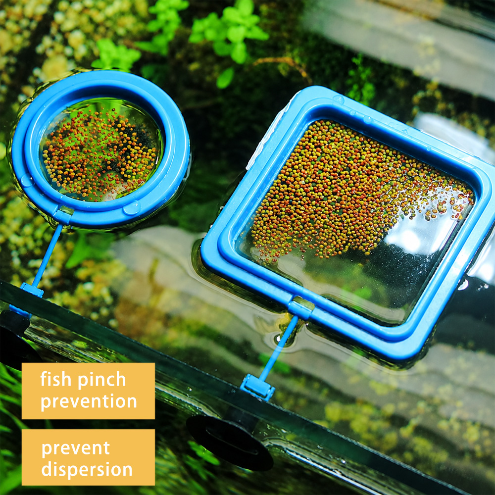 Fish Food Pellets with Floatin - Aquarium Fish Vitamin ulasan dan harga