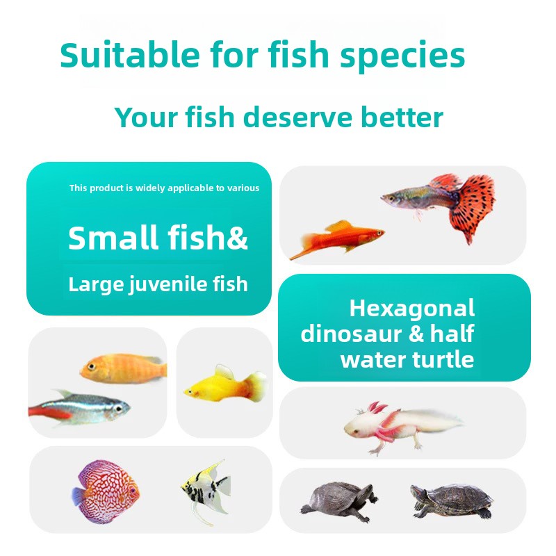 DONGYUJIANG Freeze-Dried Blood - Aquarium Fish Vitamin ulasan dan harga